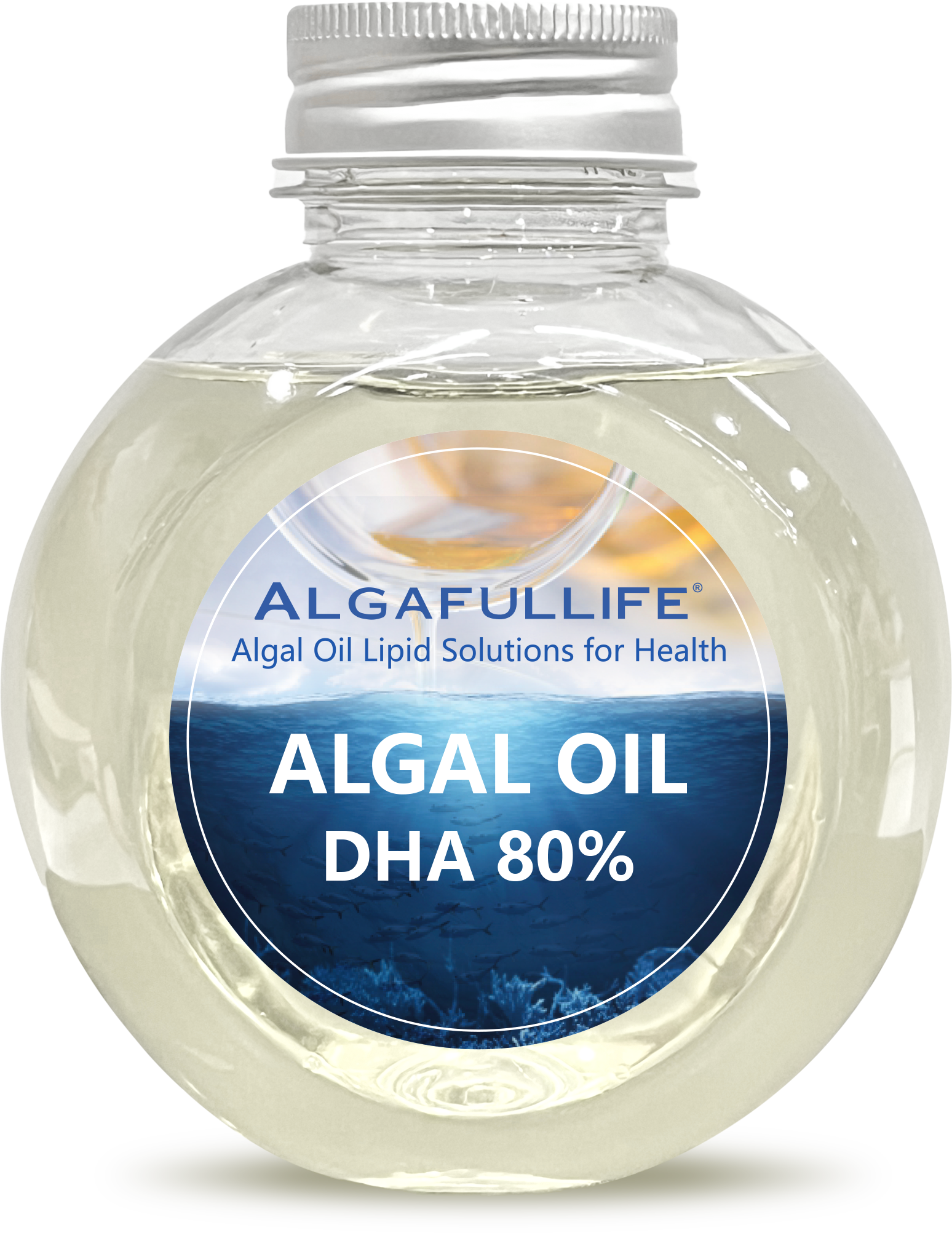 微信图片_20260226141122_1377_413 微信图片_20260226141122_1377_413.png